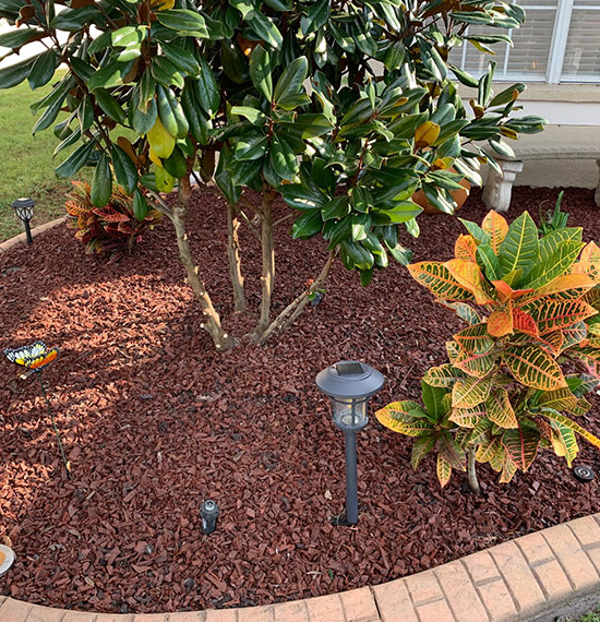 lawn aeration