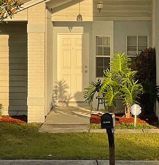 Tree Services
