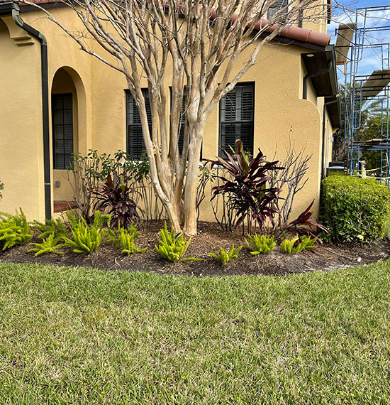garden landscaping