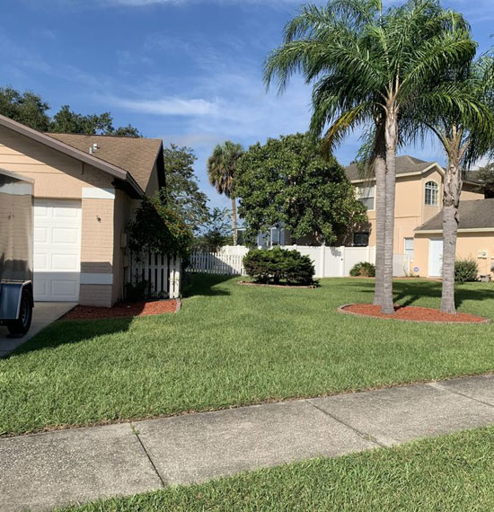 Fence Cleaning