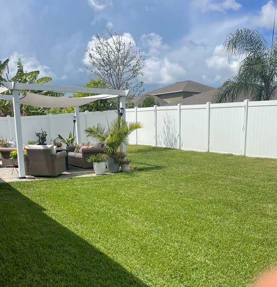 Tree Services