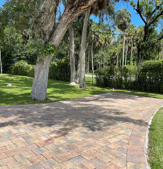 Tree Services