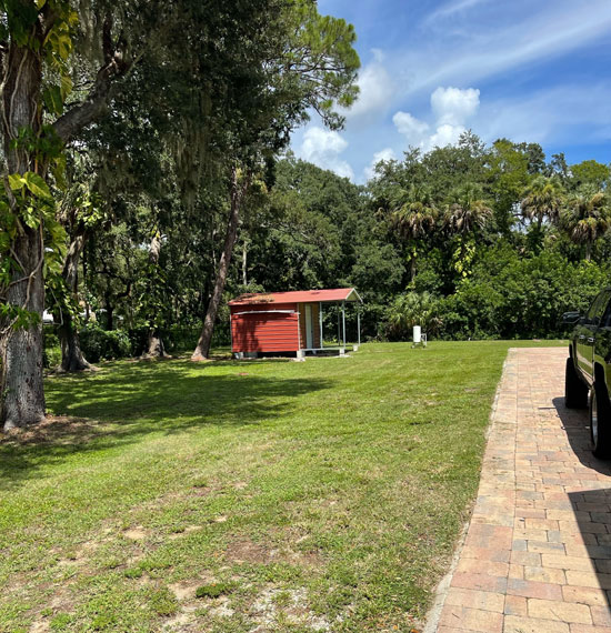Tree Services