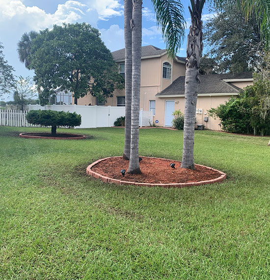 Tree Services